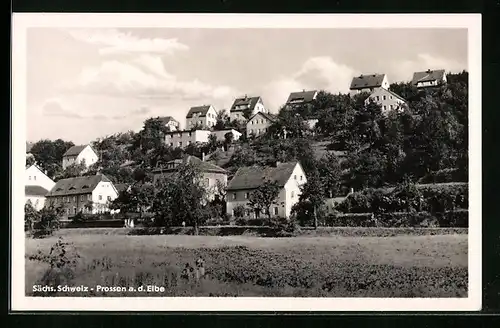 AK Prossen /Elbe i. Sächs. Schweiz, Ortsansicht