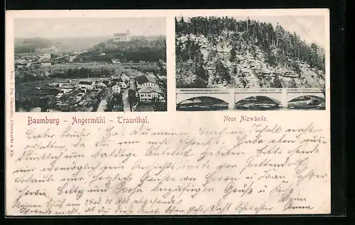 AK Baumburg, Ortsansicht mit Angermühl u. Traunthal, neue Alzwände