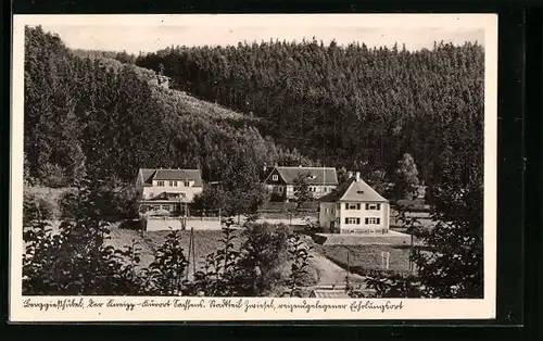 AK Berggiesshübel-Zwiesel, Teilansicht des Ortes