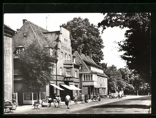 AK Bad Berggiesshübel, Strassenpartie mit Geschäften