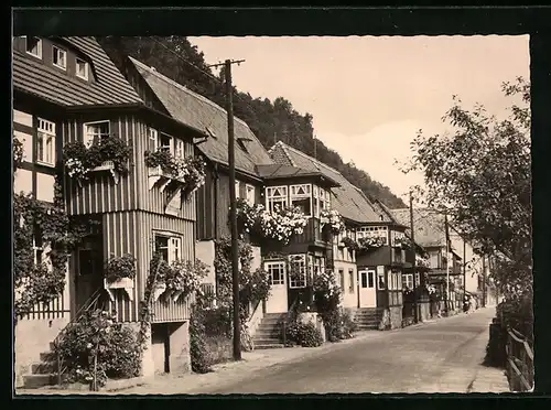 AK Bad Schandau-Postelwitz (Sächs. Schweiz), Strassenpartie