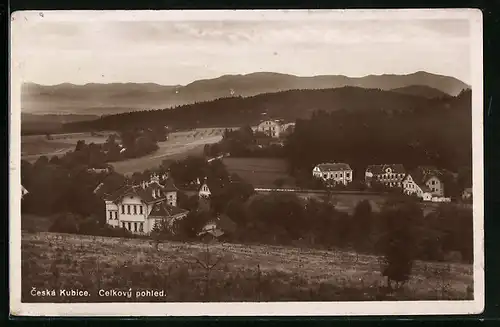 AK Ceska Kubice, Celkovy pohled