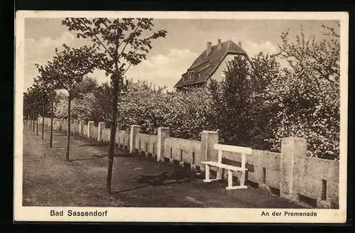 AK Bad Sassendorf, An der Promenade