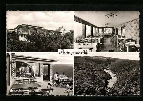 AK Presberg über Rüdesheim /Rhein, Gaststätte Rheingauer-Alp mit Sonnenterrasse und Gastraum