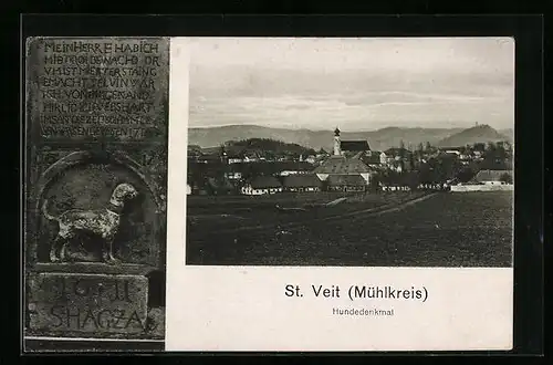 AK St. Veit /Mühlkreis, Ortsansicht und Hundedenkmal