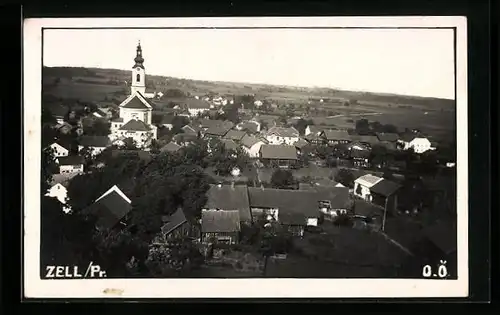 AK Zell /Pr., Ortsansicht mit Kirche