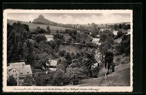 AK Schöna /Sächs. Schweiz, Ortsansicht mit Zirkelstein