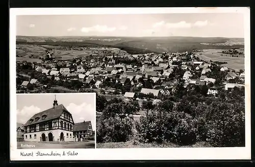 AK Stammheim b. Calw, Generalansicht der Stadt, vor dem Rathaus