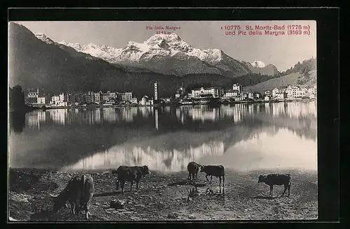 AK St. Moritz-Bad, Panoramaansicht gegen Piz della Margna