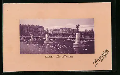 AK Geneve, Les Mouettes, Vögel an der Brücke