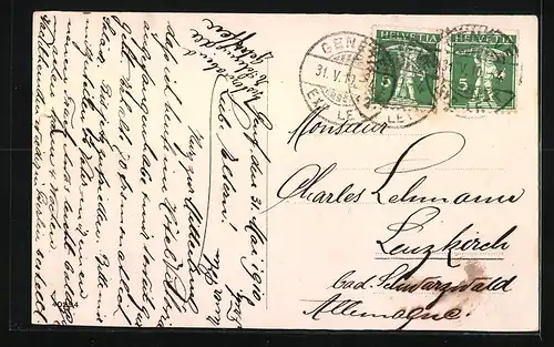 AK Geneve, Les Mouettes, Vögel an der Brücke