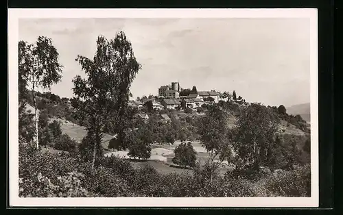 AK Regensberg, Generalansicht der Stadt mit Blick zum Schloss