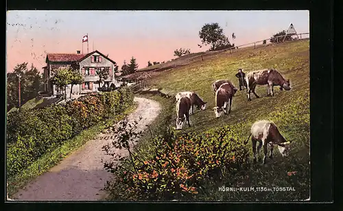 AK Hörnli-Kulm, Kühe auf der Weide am Gasthaus im Tösstal