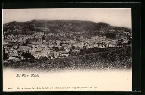 AK St. Fiden, Generalansicht der Stadt