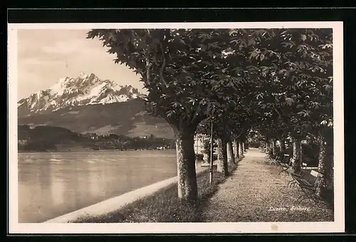 AK Luzern, Uferanlagen bei Seeburg