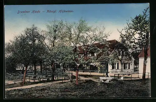 AK Dresden, Gasthaus Königl. Hofewiese in der Dresdner Heide