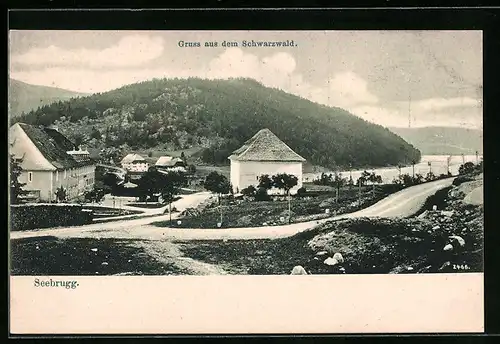 AK Seebrugg i. Schwarzwald, Blick auf die Häuser am Flussufer