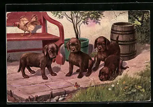 AK Vier Hundewelpen und ein Schmetterling