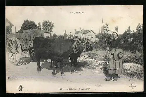 AK L`Auvergne, Un Attelage Auvergnat
