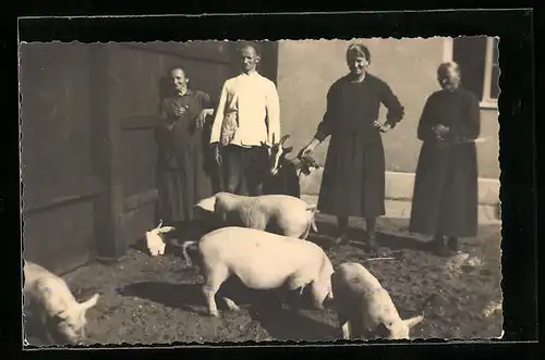 Foto-AK Bauern mit Ziege und Schweinen auf dem Hof