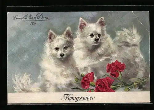 AK Zwei Königsspitzer hinter Nelken