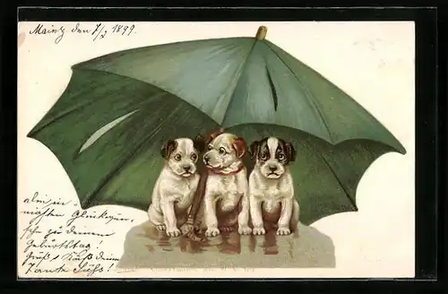 Lithographie Drei kleine Hunde unter einem grünen Schirm