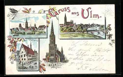 Lithographie Ulm, Rathaus, Münster