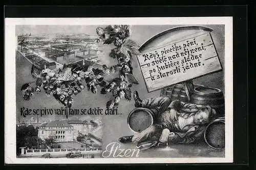 AK Pilsen, Hopfen, Landwirtschaft, Blick auf Ort