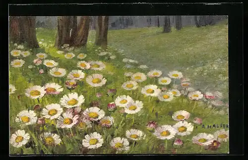 Künstler-AK Anna Haller: Gänseblumen auf einer Wiese