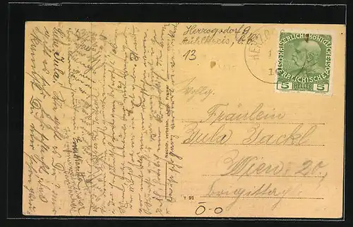 AK Herzogsdorf, Ortspartie mit Kirche, Gebäudeansicht, Brunnen