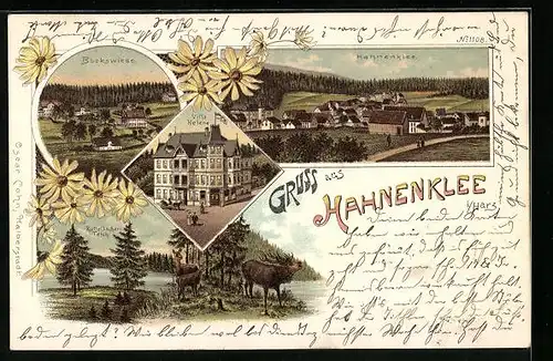 Lithographie Hahnenklee, Villa Helene, Bockswiese, Kuttelbacher Teich