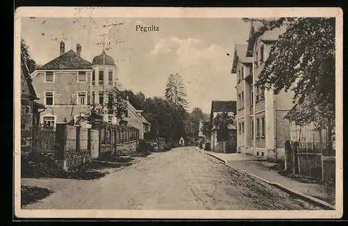 AK Pegnitz, Strassenpartie mit Bäumen
