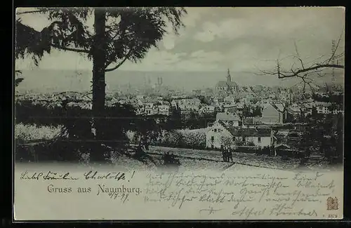 Mondschein-AK Naumburg, Teilansicht aus der Vogelschau