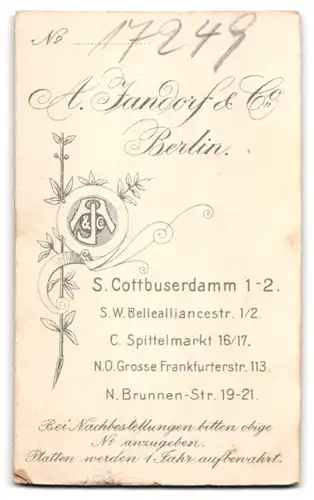 Fotografie A. Jandorf & Co., Berlin, Spittelmarkt 16-17, Kleines Mädchen im karierten Kleid