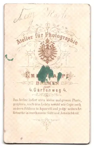 Fotografie Emil Tappe, Bremen, Gartenweg 4, Junger Herr im Anzug mit Fliege