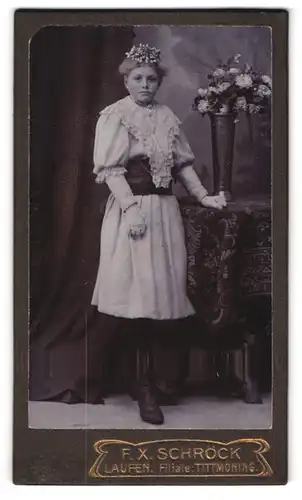 Fotografie F. X. Schröck, Laufen a. d. Salzach, Bezirksamtsgasse, Bürgerliche Dame in schöner Kleidung