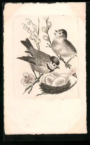 AK Singvögel am Nest mit Eiern