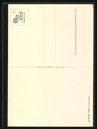 AK Kleine weisse Katze in einem Rattankorb