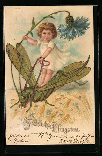Lithographie Kleinkind mit Kornblume auf einem Grashüpfer, Pfingstgruss