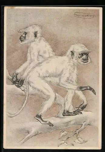AK Zwei Affen auf einem Baumstamm