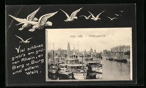AK Köln a. Rh., Hafenpartie mit Dampfern