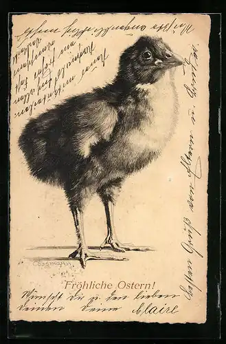Künstler-AK Fröhliche Ostern, Federzeichnung eines Osterkükens
