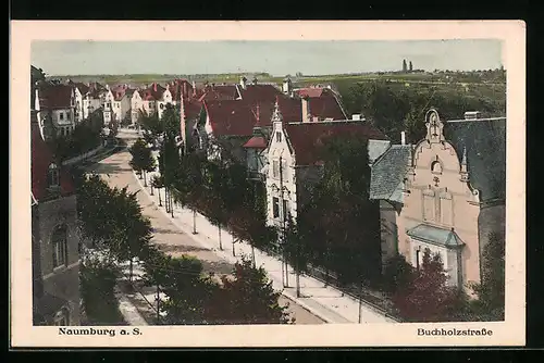 AK Naumburg a. S., Buchholzstrasse aus der Vogelschau