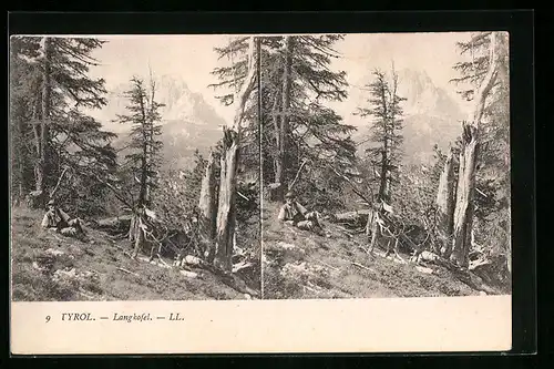 Stereo-AK Langkofel, Rastender im Wald vor Langkkofel