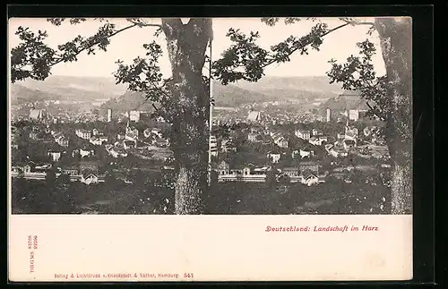 Stereo-AK Harz, Landschaft im Harz
