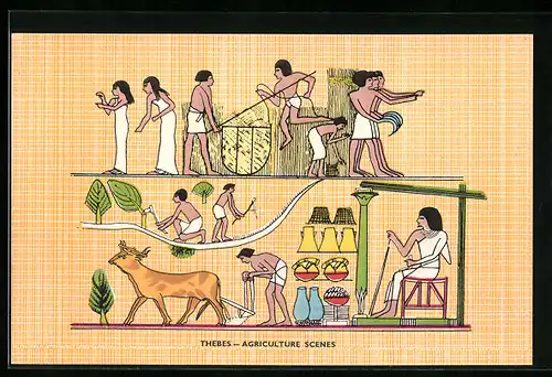 AK Thebes, Agriculture Scenes