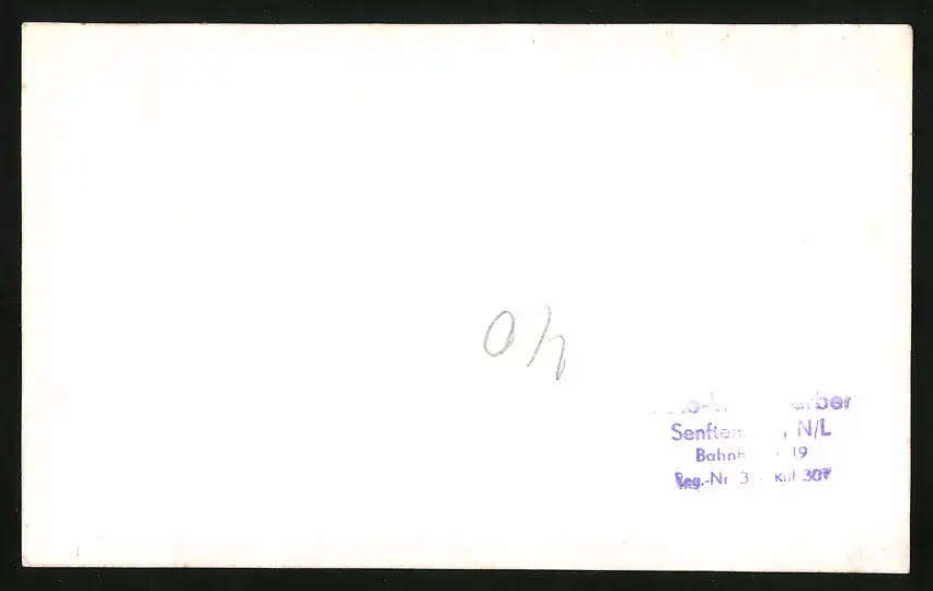 18 Fotografien Weissgärber, Senftenberg, DDR-Motorradrennen Lausitzring, Speedway / Sandbahnrennen mit Seitenwagen 24