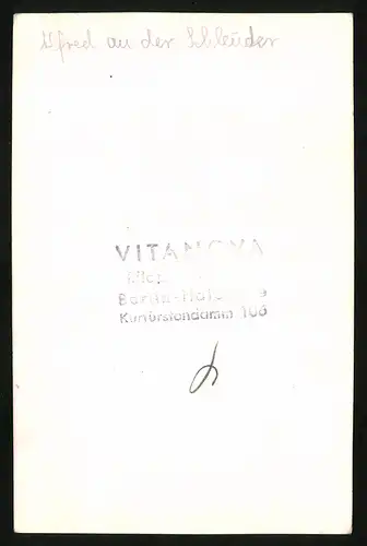 9 Fotografien Vitanova, Berlin-Halensee, Ansicht Berlin, Wäscherei - Waschanstalt, Bügelmaschine, Schleuder, Mangel u.a.