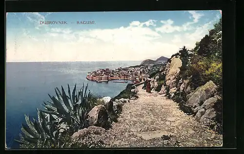 AK Dubrovnik, Panorama