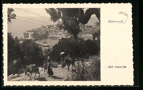 AK Dubrovnik, Ortspartie und Einheimische mit Maultieren